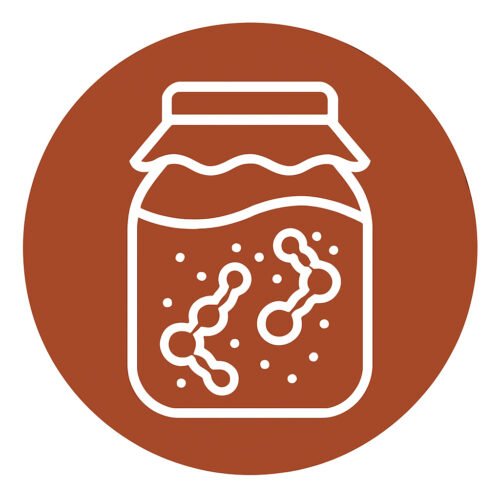 fermentation fermentation
