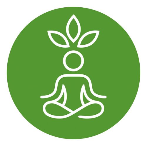 wellness wellness